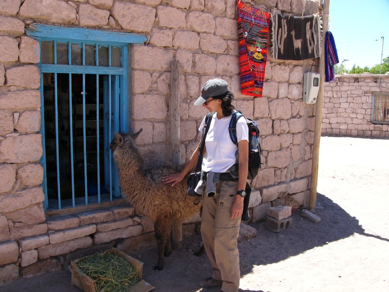 P1080342.JPG - How docile is a Llama?