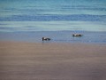 IMG_5509