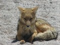 IMG_5535