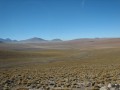 IMG_5607