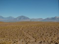 IMG_5621