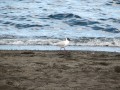 IMG_5828
