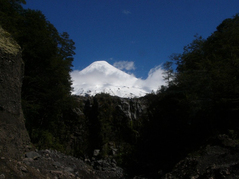P1080687.JPG - Osorno peeks through a gap in the foliage.