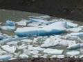 IMG_6333