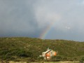 IMG_6350