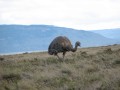 IMG_6408