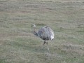 IMG_6462
