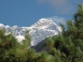 IMG_8066