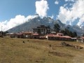 IMG_8154