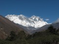 IMG_8155