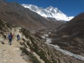 IMG_8196