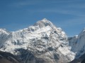 IMG_8203