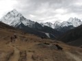 IMG_8235