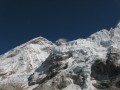 IMG_8266