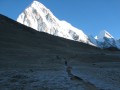 IMG_8296