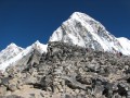 IMG_8303