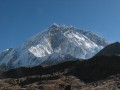 IMG_8345