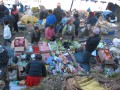 IMG_8386