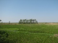 IMG_9283