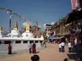 P1000733