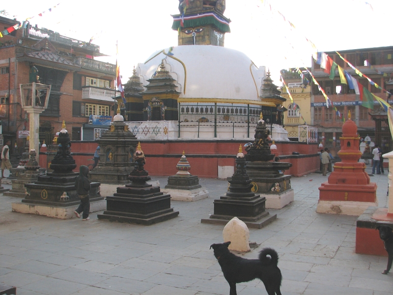 IMG_7942.JPG - Courtyard around the main Kathesimbh Stupa - dogs no bar !